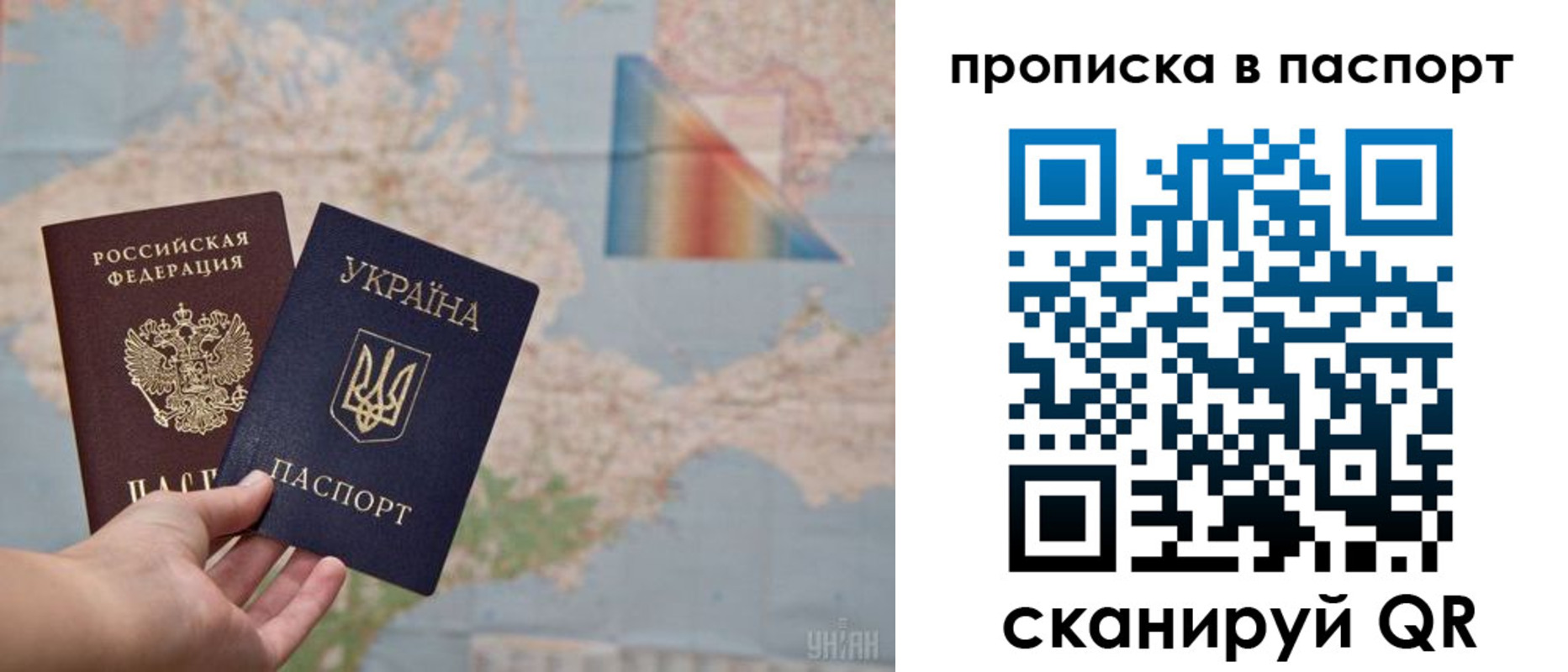 прописка поиск в Тимашёвске